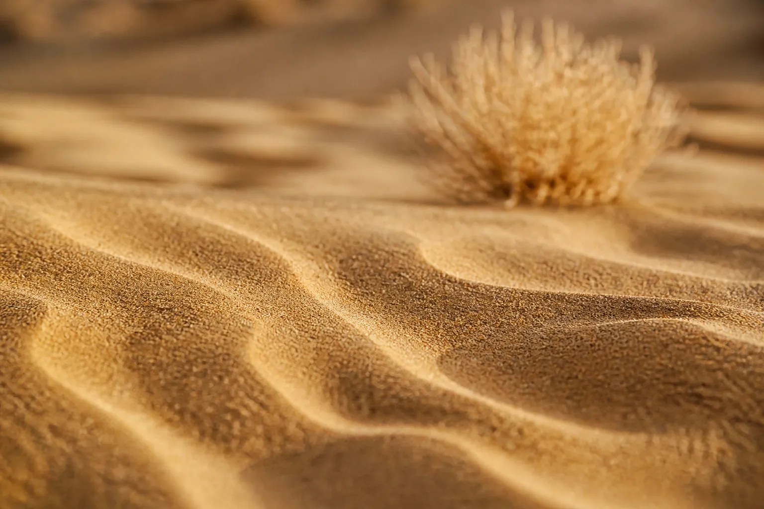 Paysage saharien sur la route vers Adrar